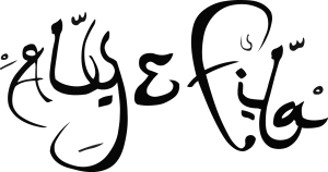 Aly & Fila - Logo